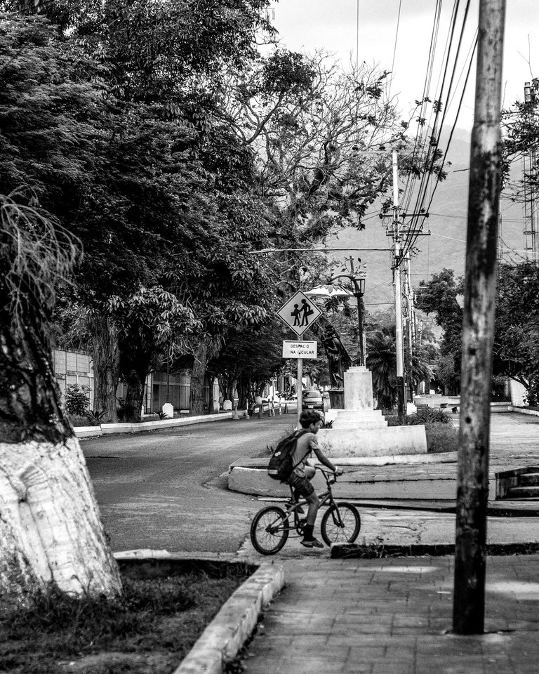 C08.jpg