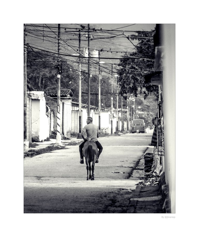 T07.jpg