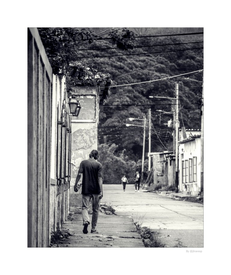 T06.jpg
