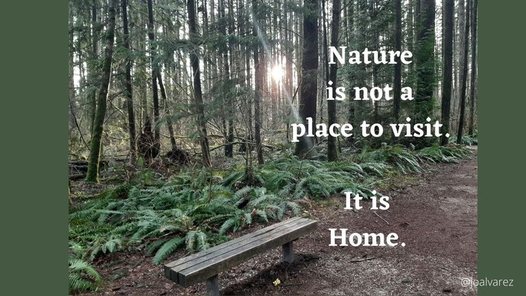 Nature is not a place to visit. It is HOME..jpg