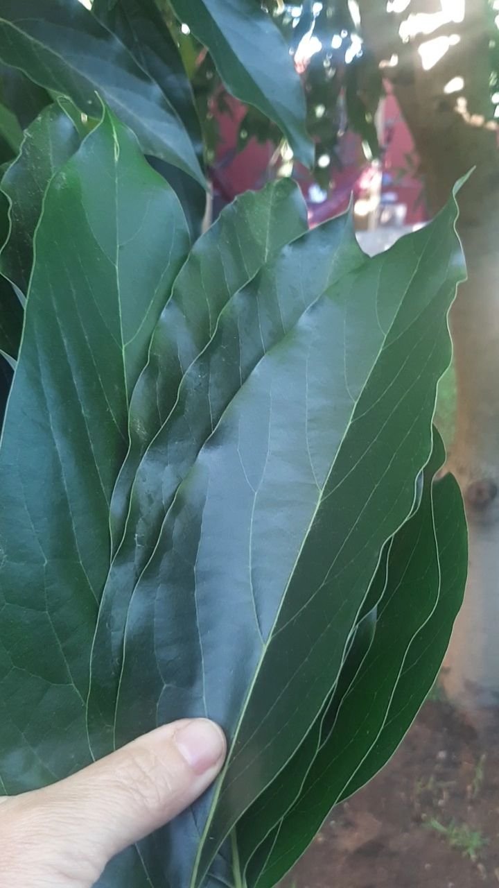 VideoCapture_20250315-115605.jpg