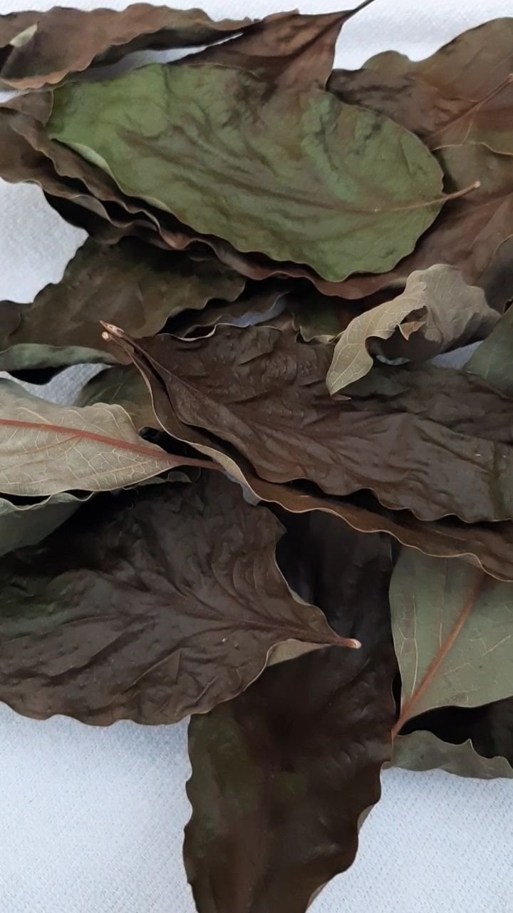 VideoCapture_20250315-115646.jpg