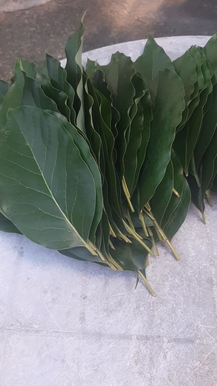 VideoCapture_20250315-115619.jpg
