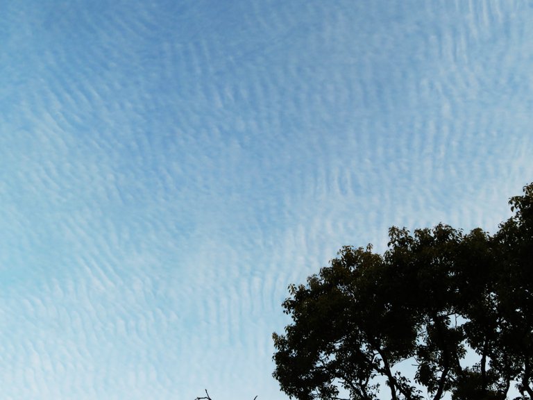 780911June_Cirrocumulus.JPG