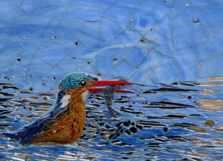 5012MalachiteKingfisher.JPG