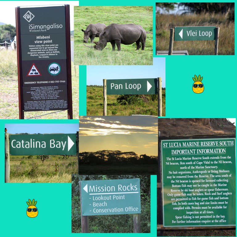 Pin_iSimangalisoEastBank.png