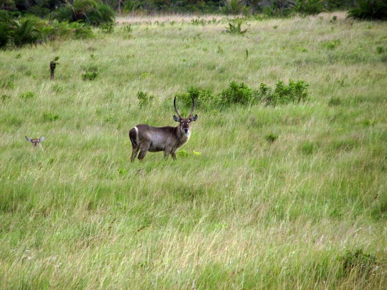 IMG_0434.JPG