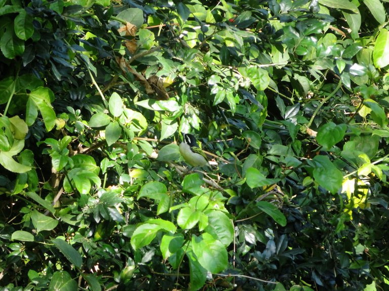 IMG_8472.JPG