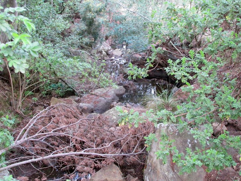 IMG_2874.JPG