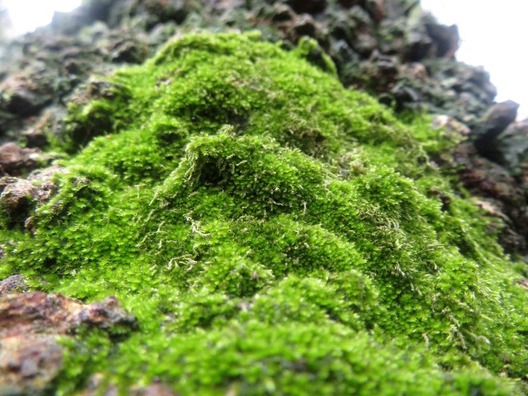 IMG_6128.JPG