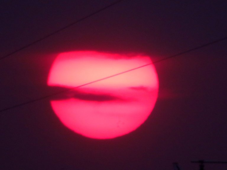 IMG_1793.JPG