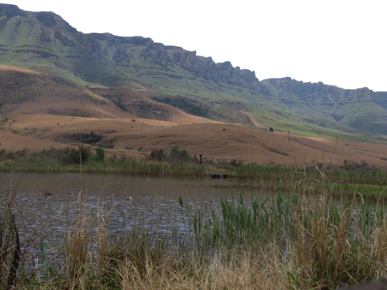 IMG_4780-Drakensberg.JPG