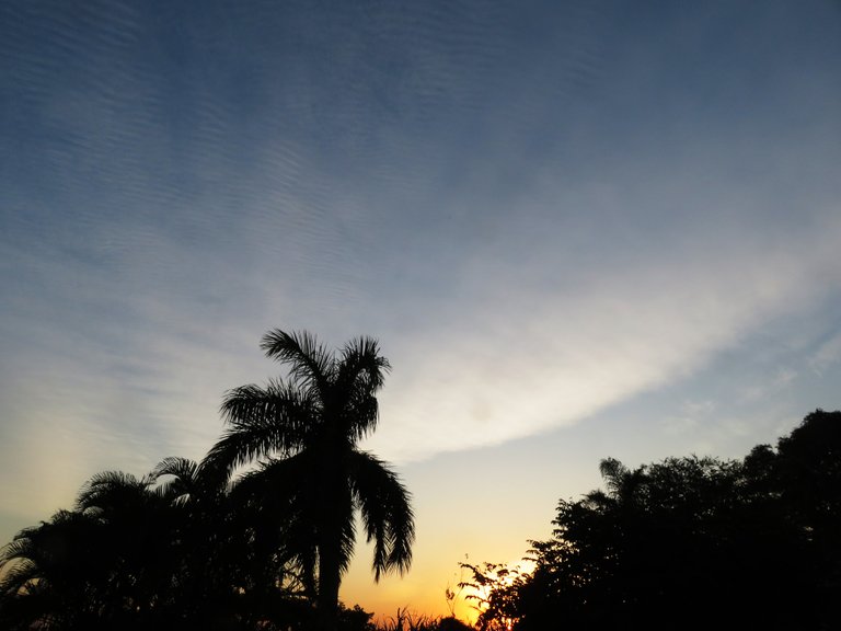 7811Cirrocumulus.JPG