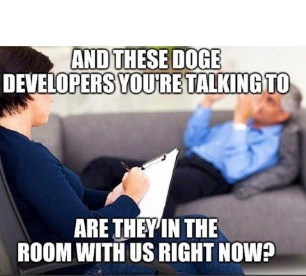 Top-100-Crypto-Memes-of-2022-26-doge-therapy.jpg