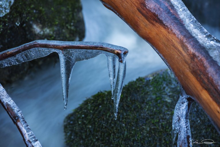 AlphabetHunt F - Freezing Frozen Frost