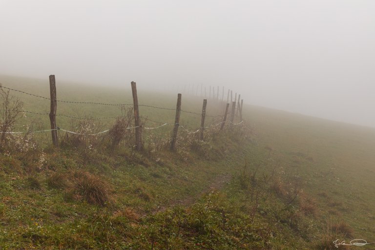 AlphabetHunt F - Fence in Foggy Field