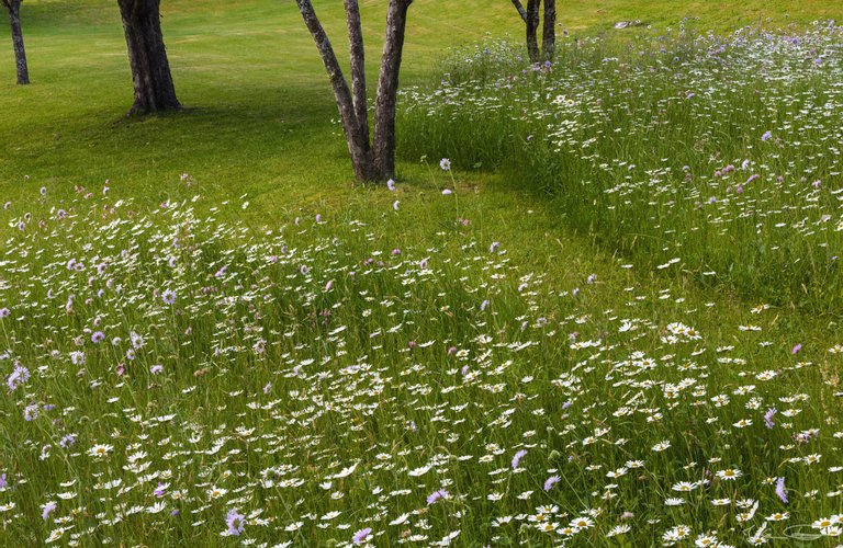 Hive Alphabet Hunt: Green Flower Garden