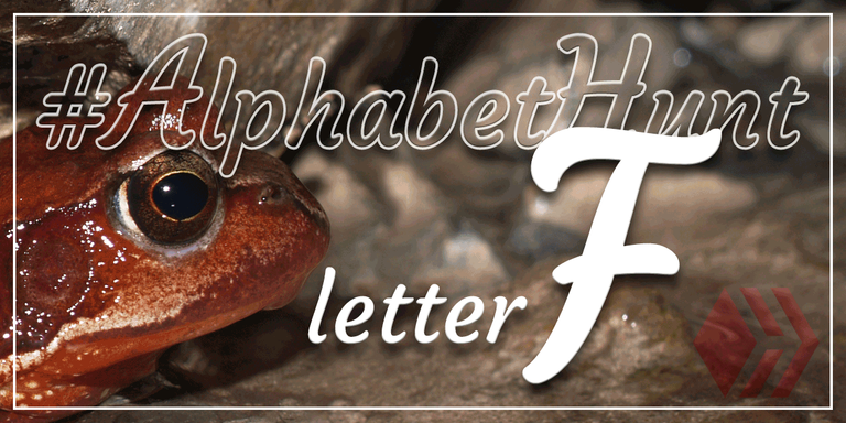 Hive AlphabetHunt - Letter F