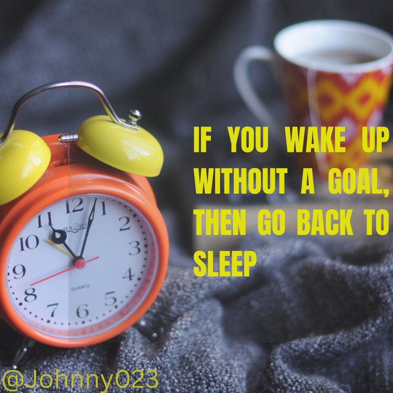 IF YOU WAKE UP WITHOUT A GOAL, THEN GO BACK TO SLEEP.png