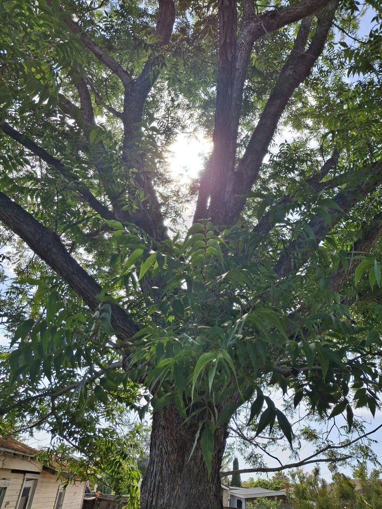 1000029410.jpg