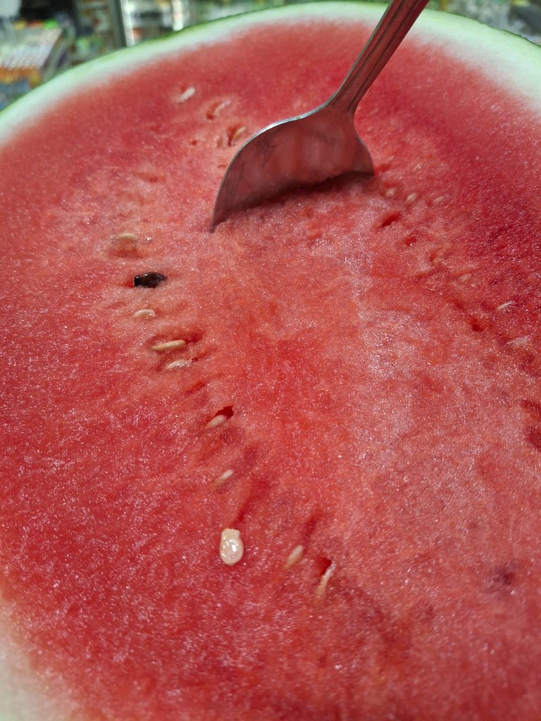 1000029849.jpg