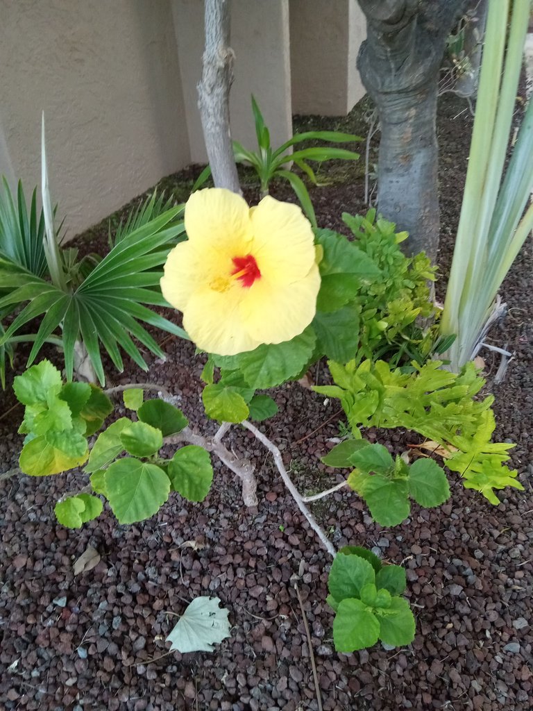 20230927_180252.jpg