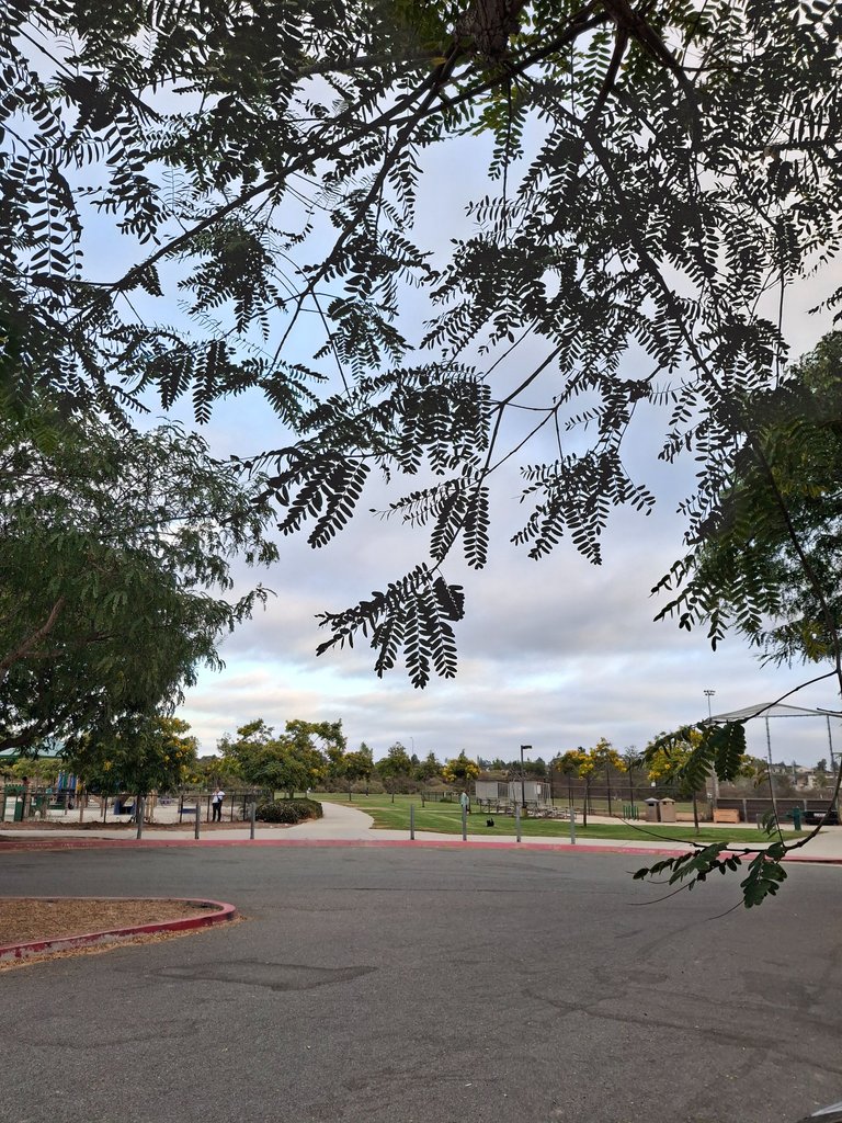 1000037671.jpg