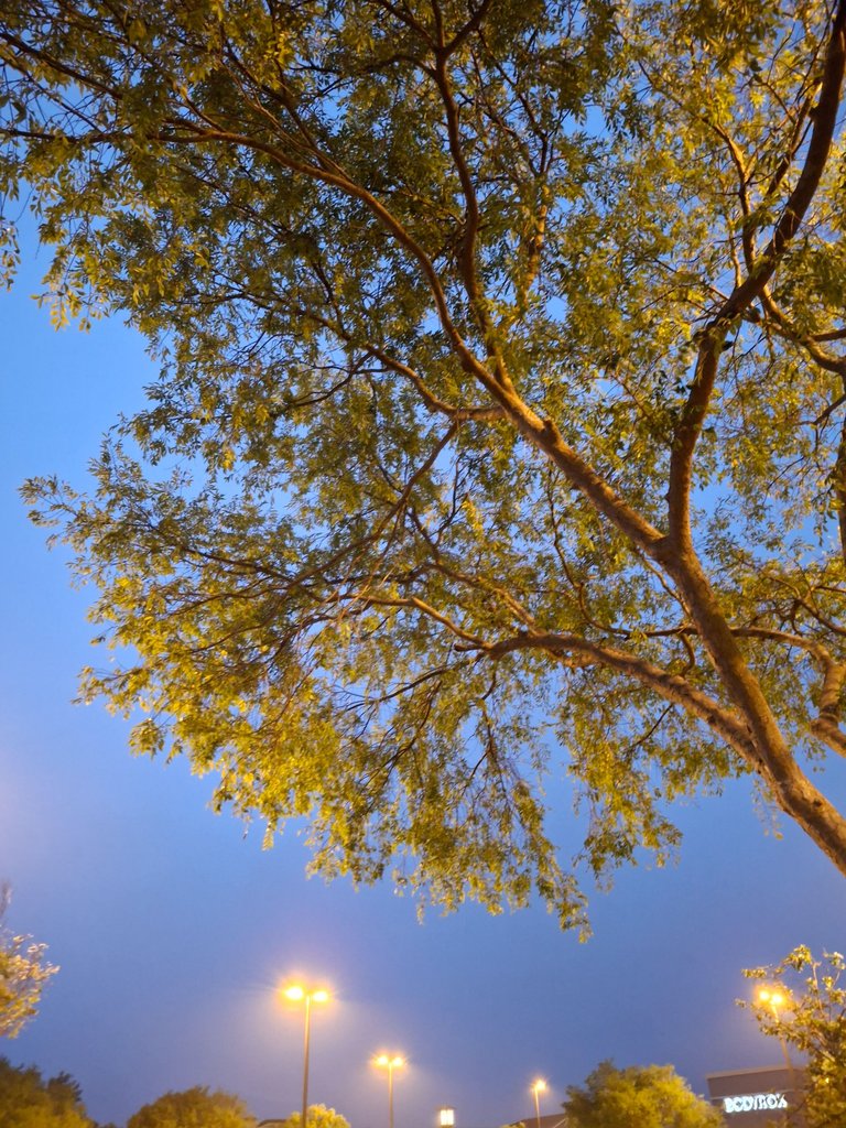 1000026978.jpg