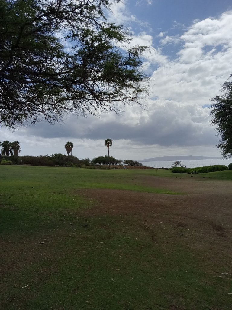 20230921_143917.jpg