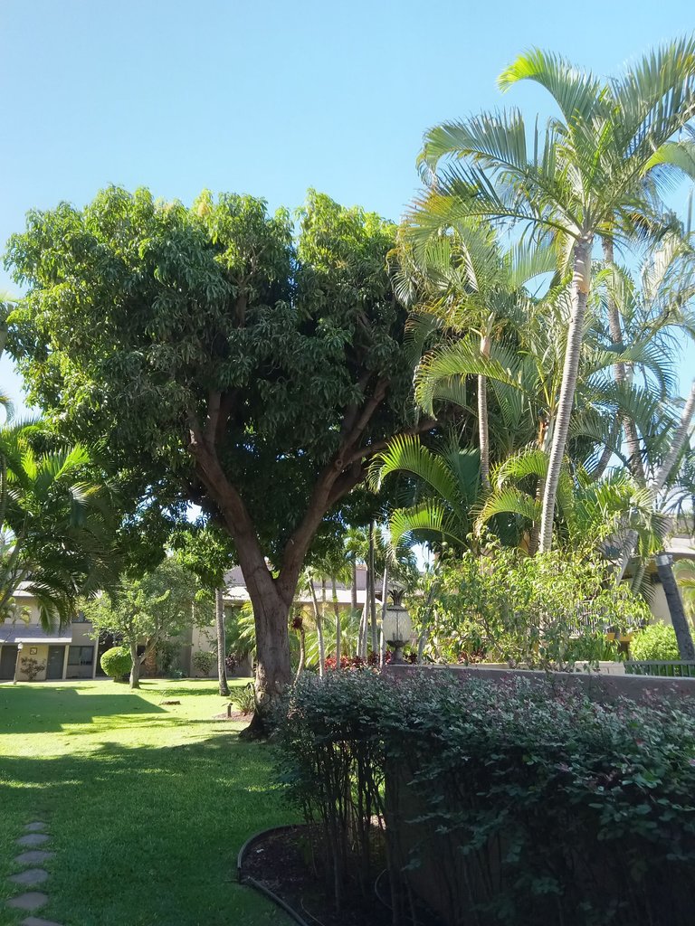 20230924_092431.jpg