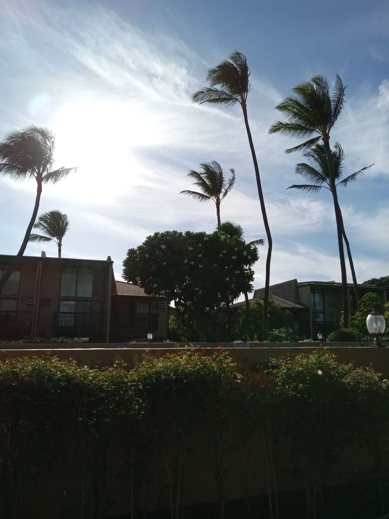 20230923_162254.jpg