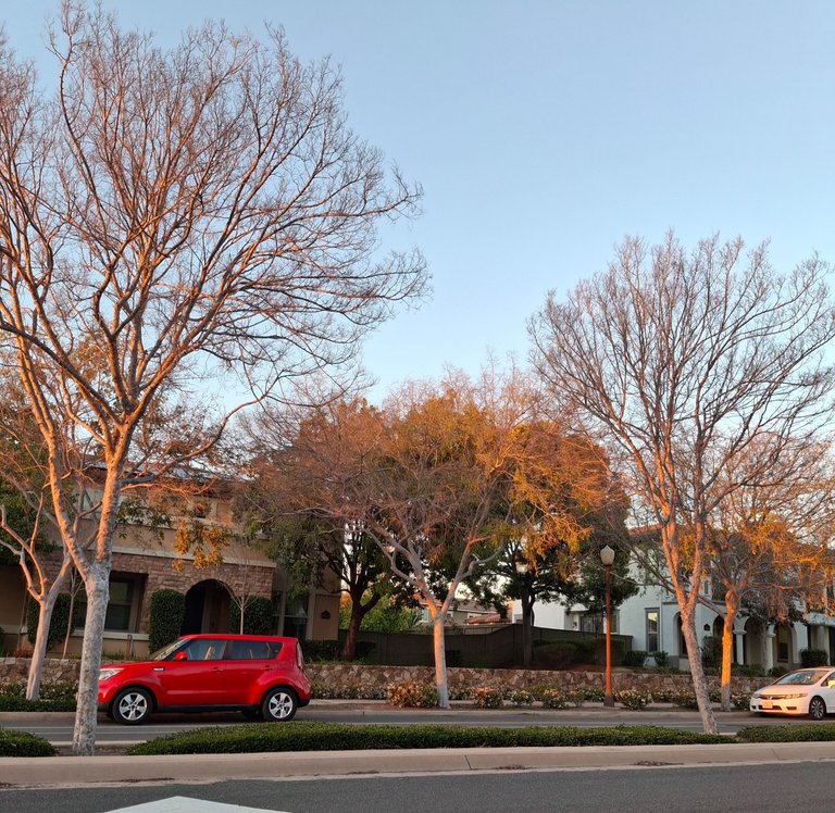 1000020335.jpg