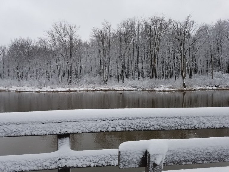 20190331_103746.jpg