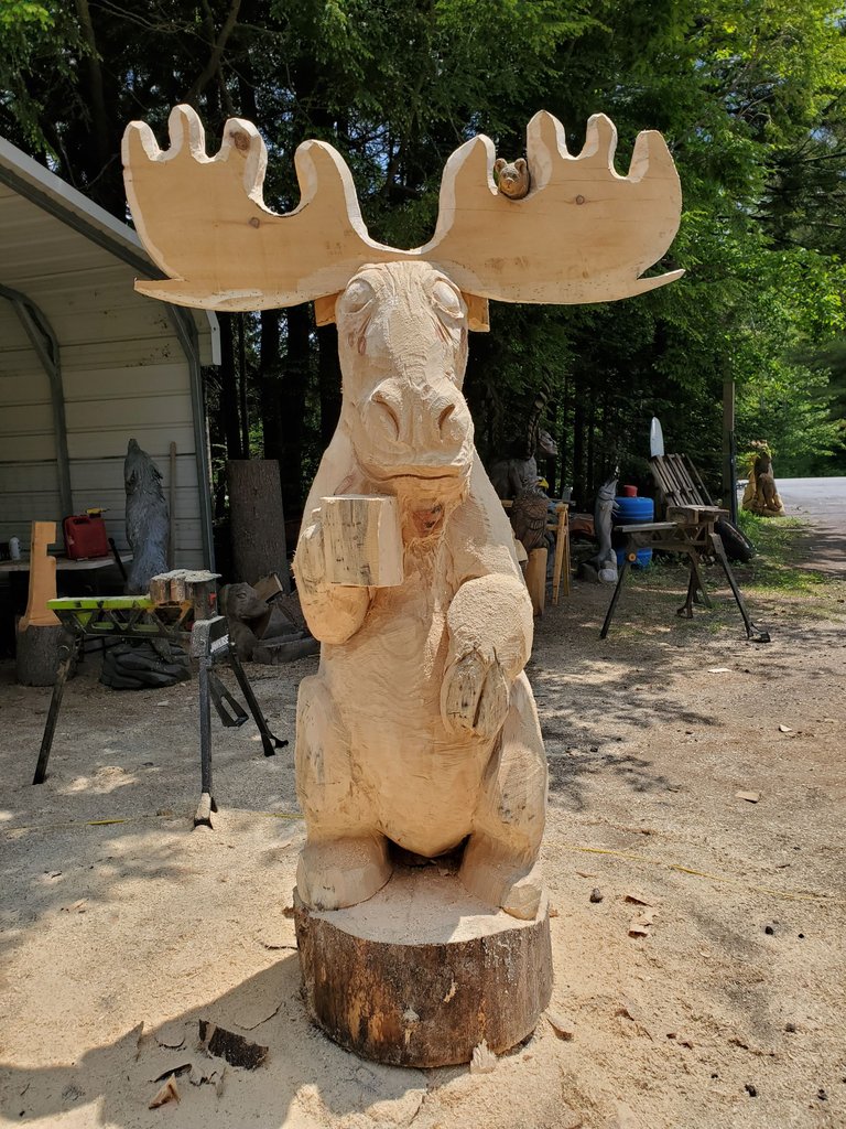 20230619_133207.jpg