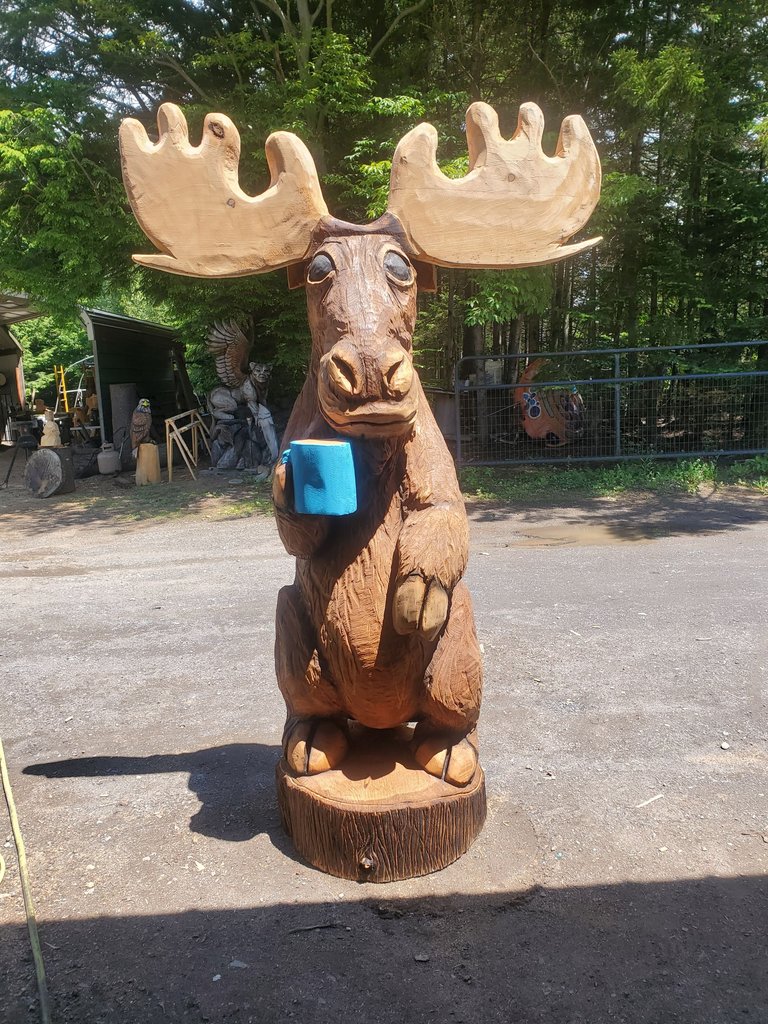 20230625_131515.jpg