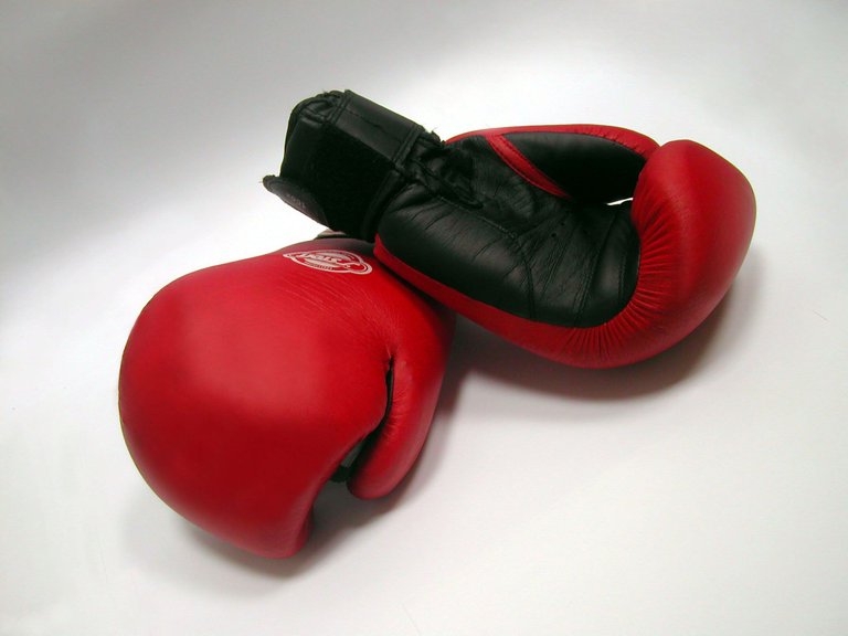 boxing-gloves-and-dumbells-1-1531474.jpg