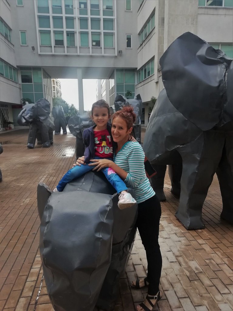 Elefantes Mia y Niña.jpg