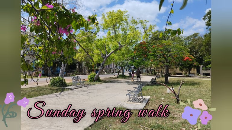 Sunday spring walk
