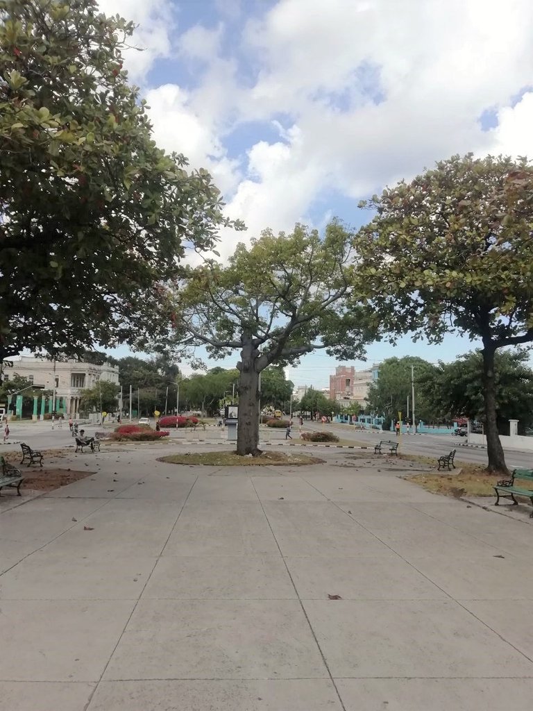 Paseo Si.jpeg