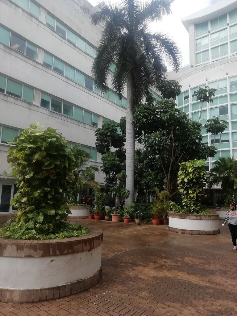 Jardines 1.jpg