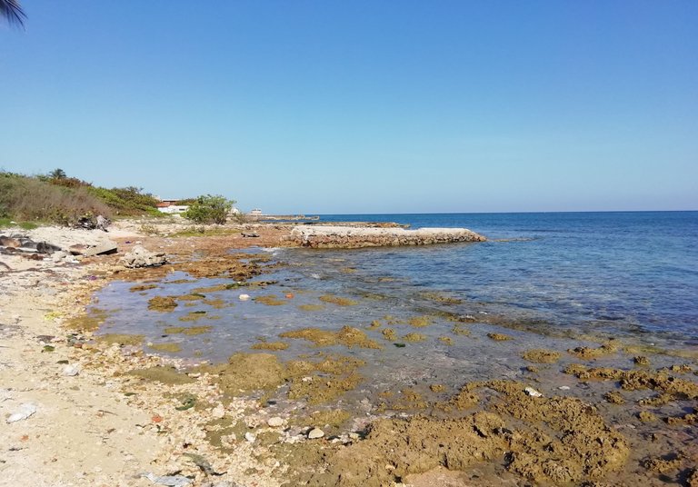 IMG_20230404_095136.jpg