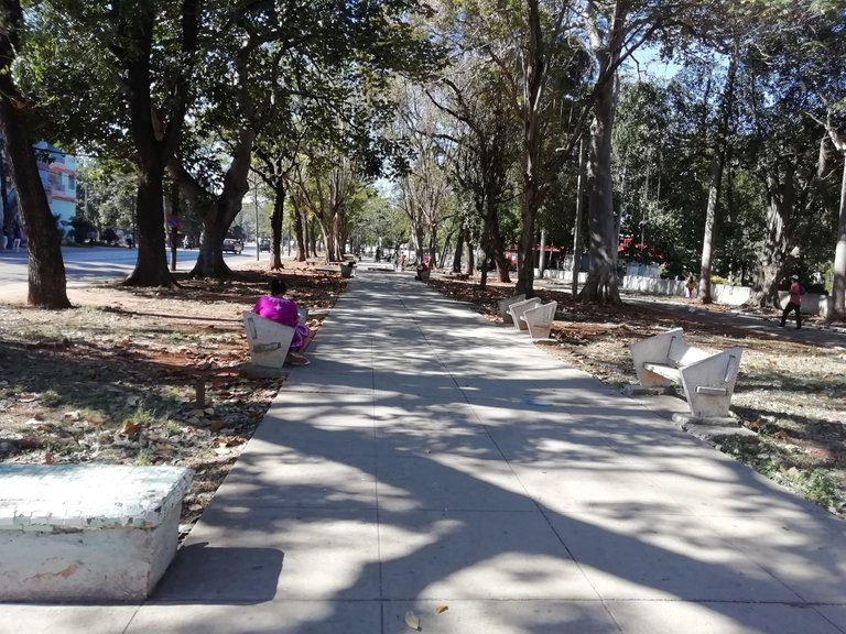 _Parque Alameda Si.jpg