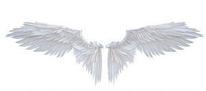 wings-7006381_640.png