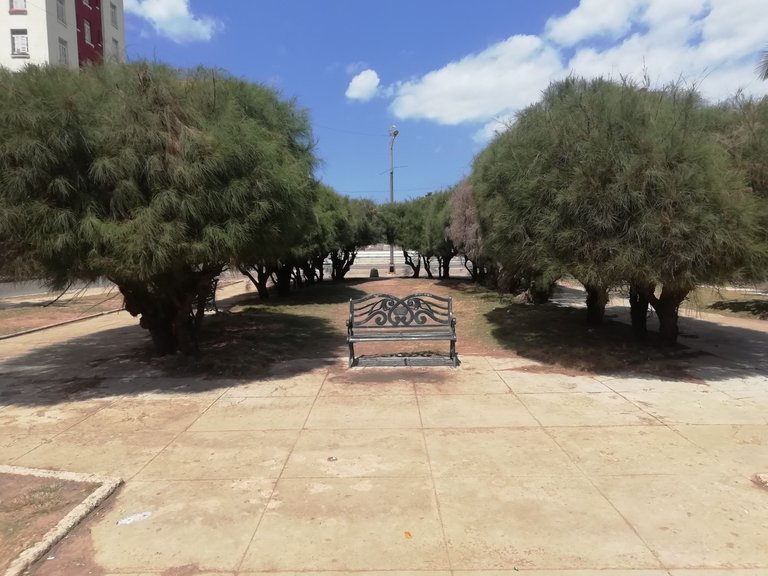 Si Paseo Arboles 1.jpg