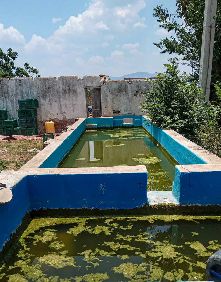 dirty abandoned pool