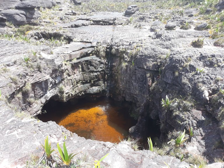 20180328_105728.jpg