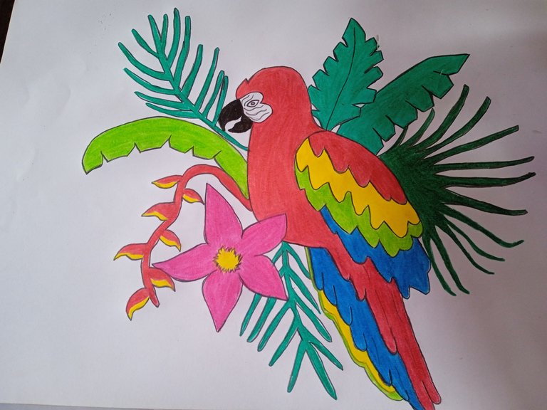 Dibujo de una hermosa guacamaya roja / Drawing of a beautiful scarlet macaw  — Hive