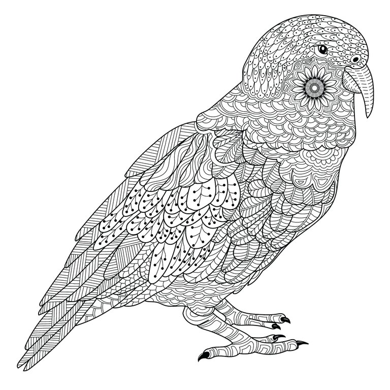 Kakapo Parrot.png