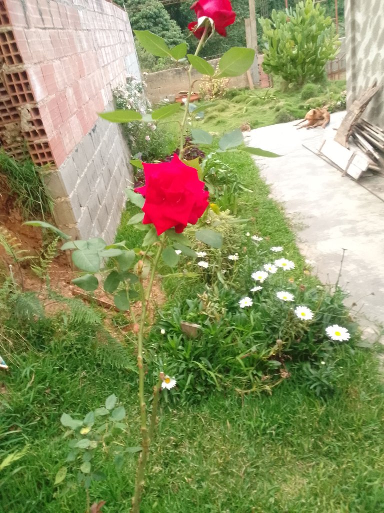 IMG_20240828_183741_100.jpg