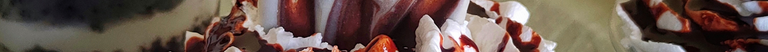 Imagen9.png
